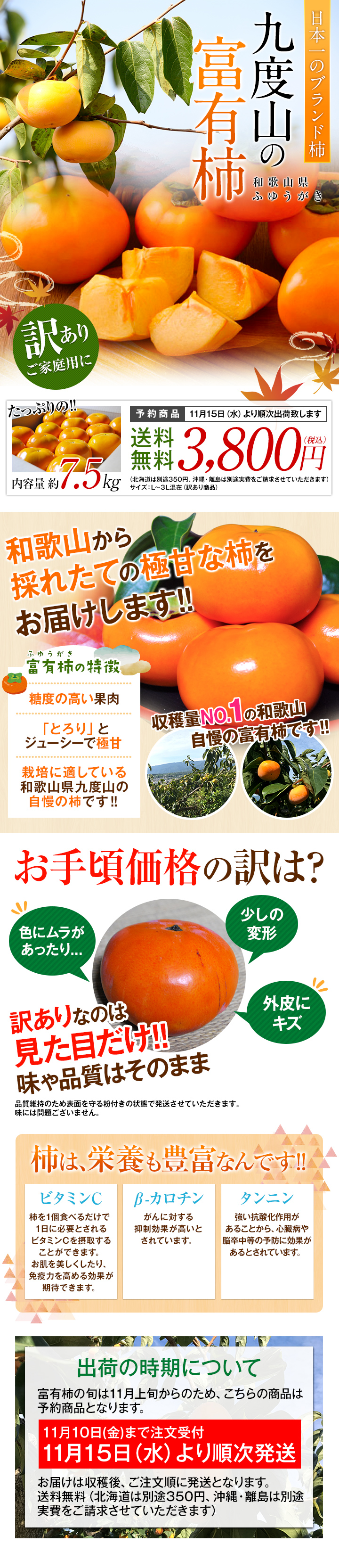 富有柿,かき,甘柿,九度山,送料無料